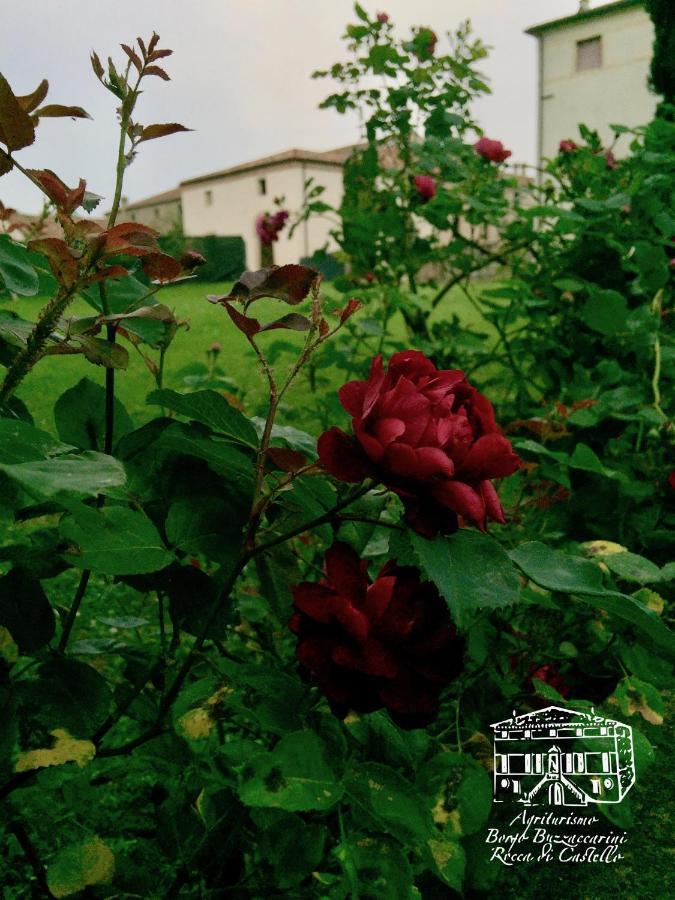 מונסליצ'ה Agriturismo Borgo Buzzaccarini Rocca Di Castello מראה חיצוני תמונה