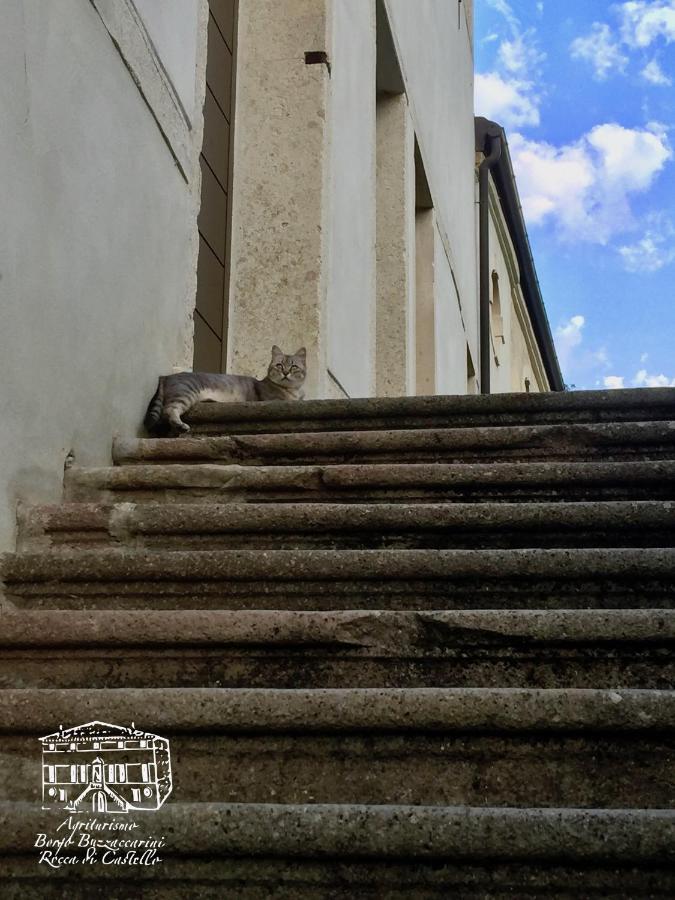 מונסליצ'ה Agriturismo Borgo Buzzaccarini Rocca Di Castello מראה חיצוני תמונה